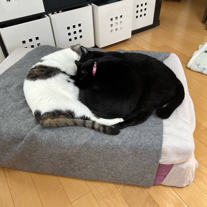 4bf974c7 6b9b 46d6 8db1 854c178c1eaa 1686102660220