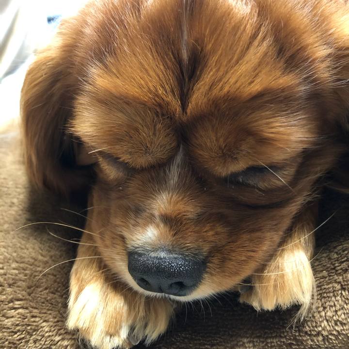 4bf994c6 6e99 4a6c bacc 9b27b2588ab1 1585320830538