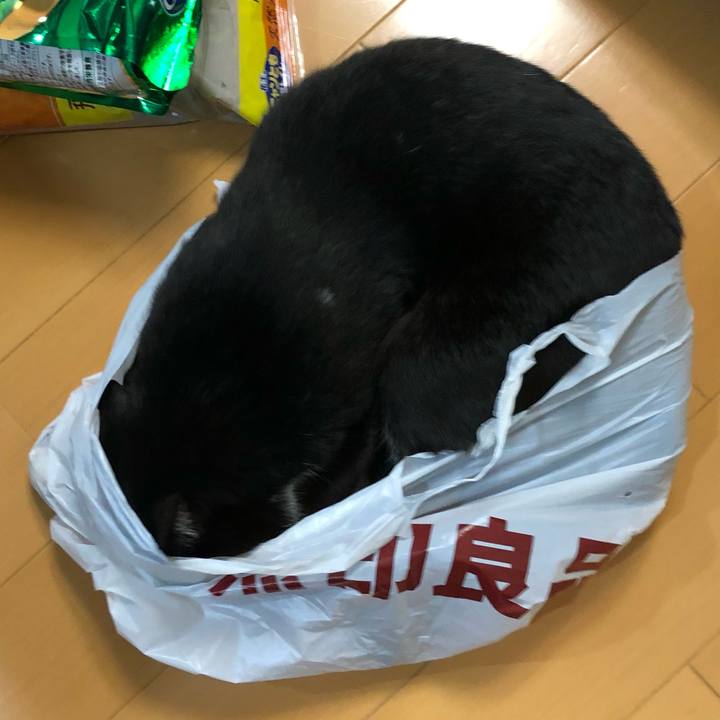 4bf9e344 db93 44c5 807d f558322c92db 1560137829912