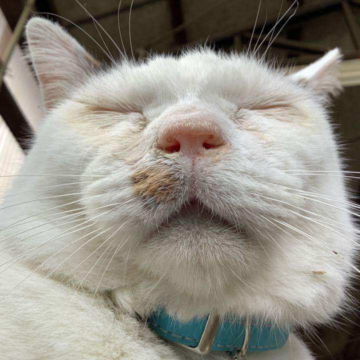 4bf9e744 6951 4f32 b15b 1016ccbb34f6 1623940257644