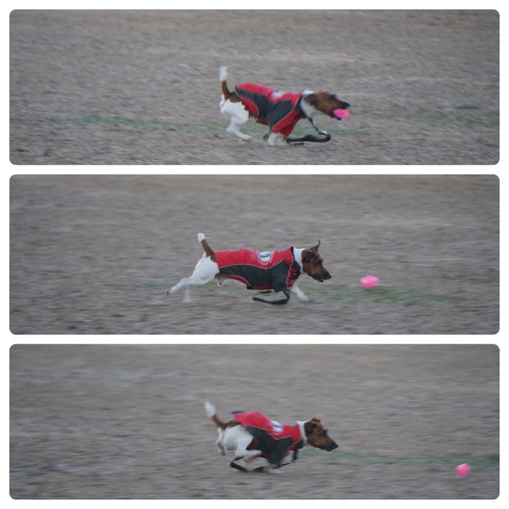 4bf9fb8e 0bc4 4a04 b899 6ce1c6a5506d 1515452512213