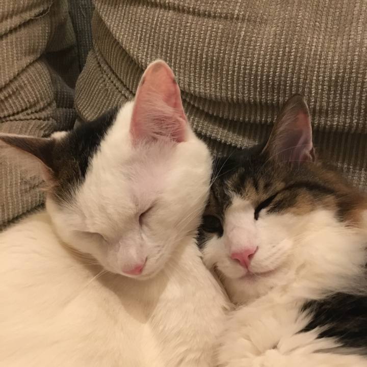 4bfa0b1a 45e6 4abd 880d f21c743e204d 1518589010533