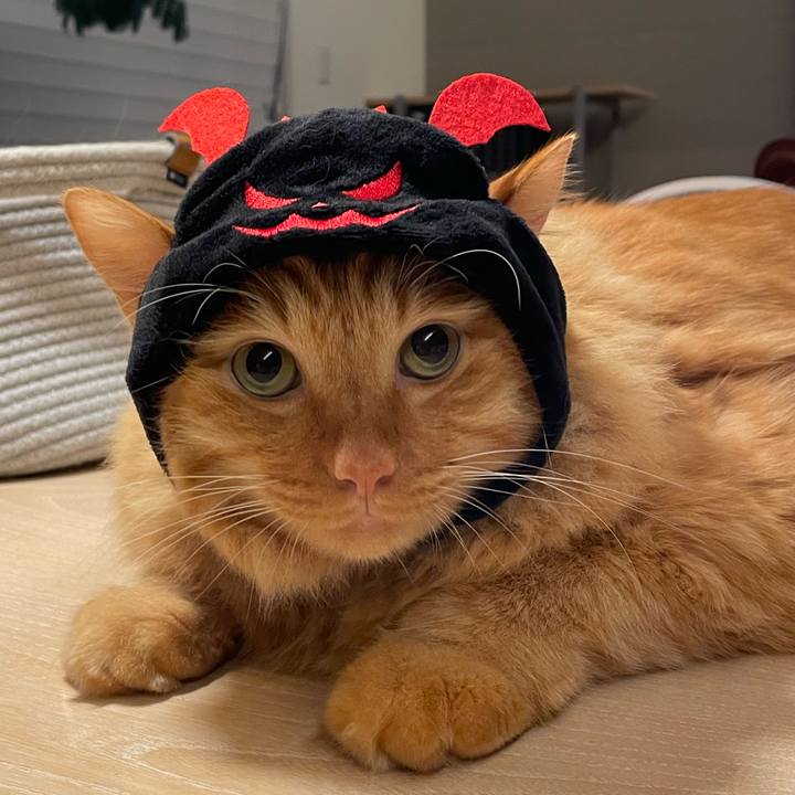 4bfa14fc bfca 4166 8c07 4b8cdd43417b 1761861280693