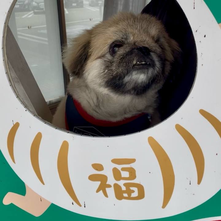 4bfa34eb 9d2e 4785 ab62 9b61ea174f16 1729901020370