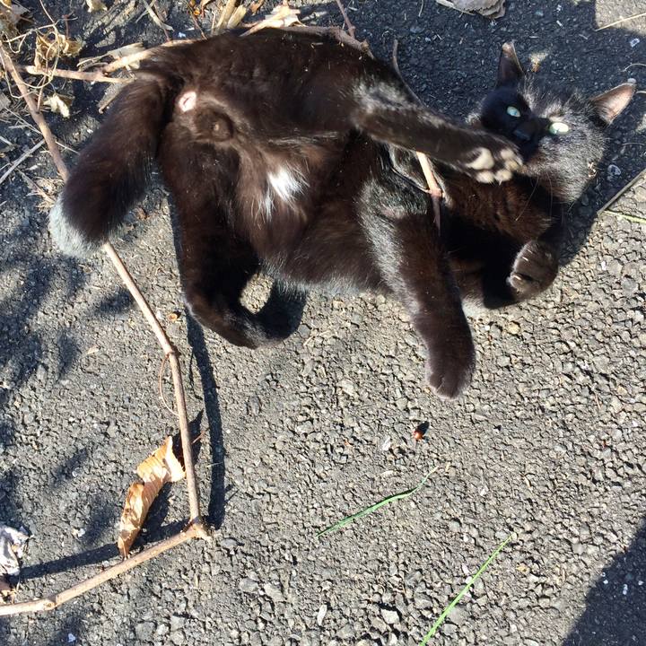 4bfa3729 6e64 4018 9f8c b468190bd77c 1578733748856