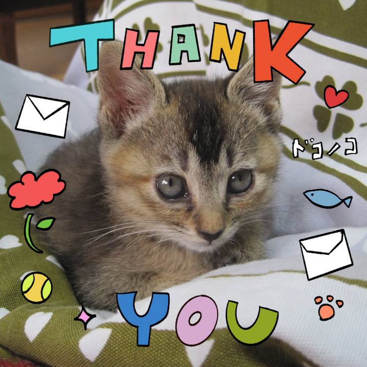 4bfa6aea 5794 4cf2 afde 449ac965c129 1714984537406