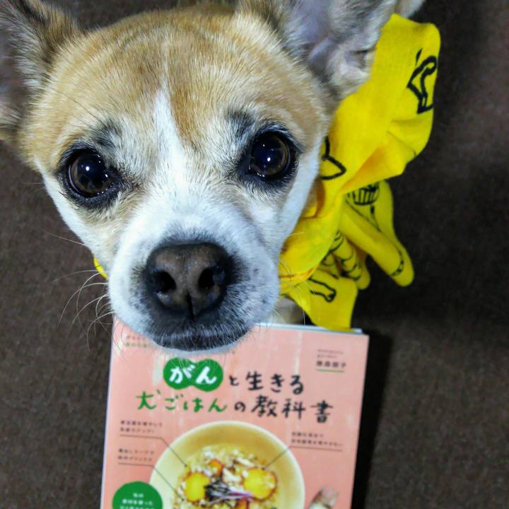 4bfa95bc 02d6 480c 8aa3 4e2f4b1263b6 1614421005336