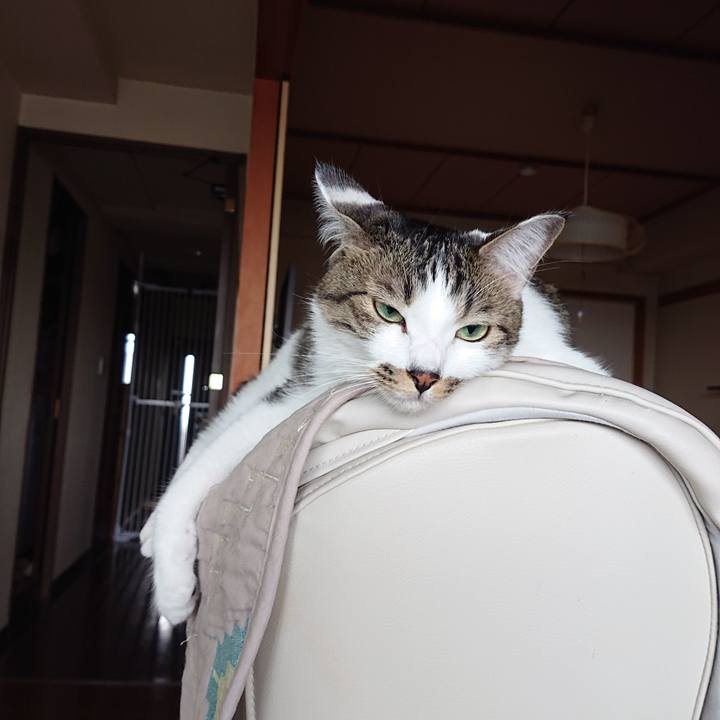 4bfad233 753b 4933 9ff8 4a19b47c5233 1601859294116