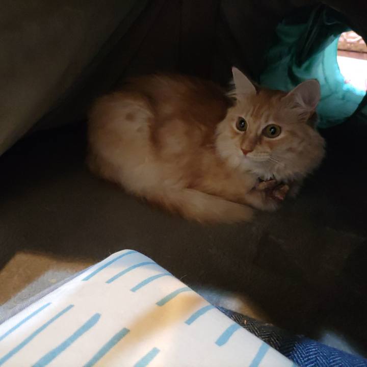 4bfad602 7069 4f8d aa16 c81fc0ebb0f1 1698758382753