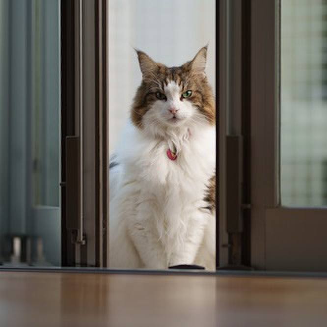 4bfade2d af35 42b0 93e2 53cabff383ad 1761809943489