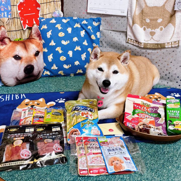 4bfb18c7 6bd4 4d04 9003 7dbb204edcaf 1691488994729