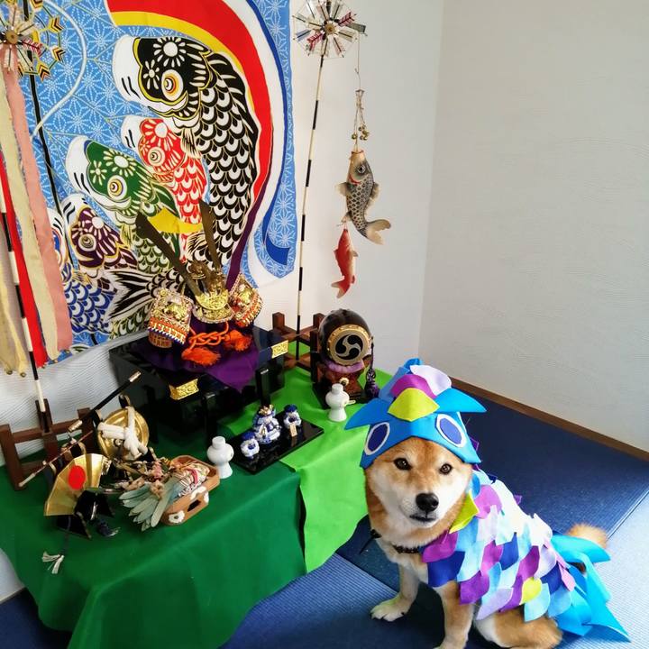 4bfb1b36 20e1 465e beb8 d151efce404e 1620019983490