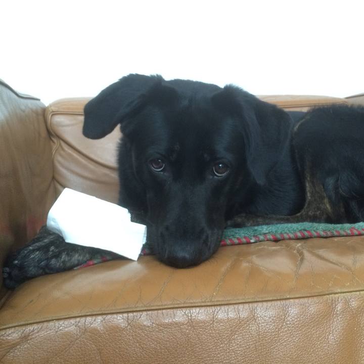 4bfb4614 d096 435e 8705 1b8bdb21bb1f 1511399062461