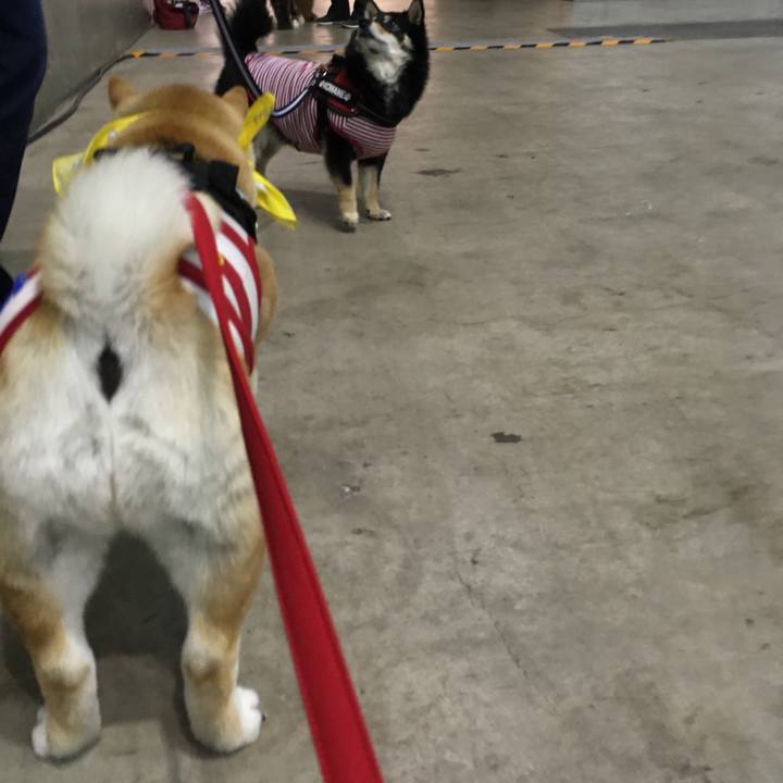 4bfb5de0 9732 4e4c 9f0c 3062b7a17b2e 1556870780405