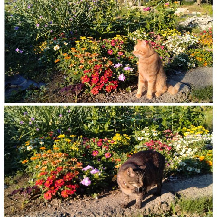 4bfbac7c 0367 4ca9 9fb9 2d83897c2de5 1719439023367