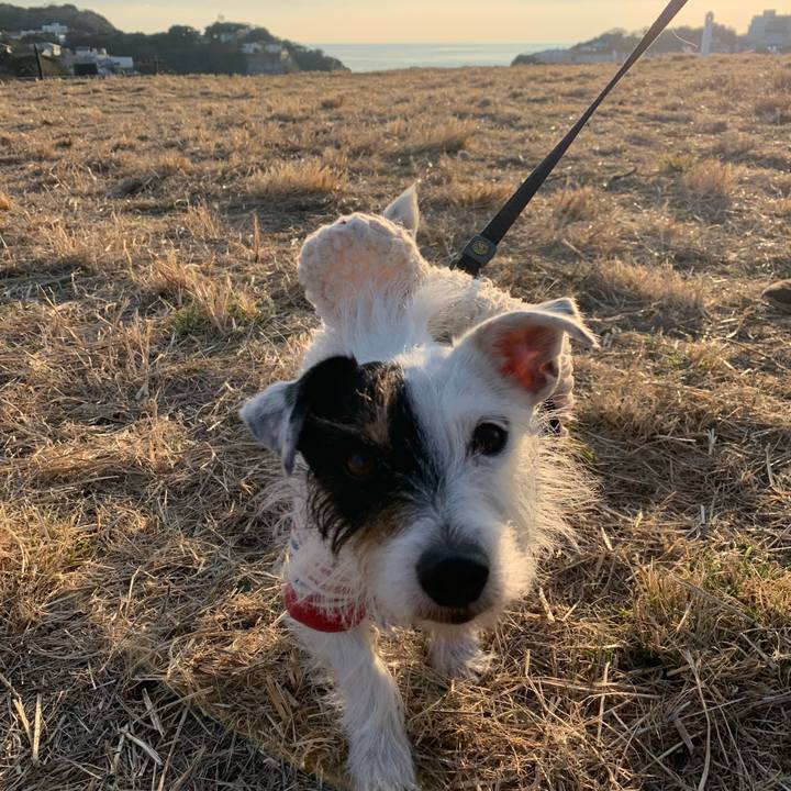 4bfbcd01 c89f 4e33 931d 22b38adbd998 1673075436503