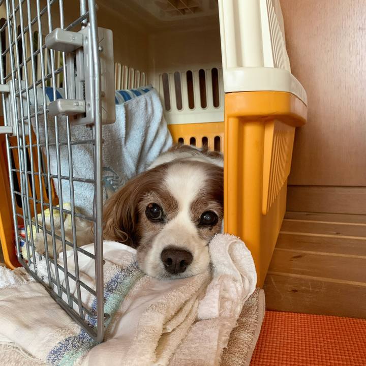 4bfbce73 92d9 4032 b1da d3828512ba7c 1596662323659