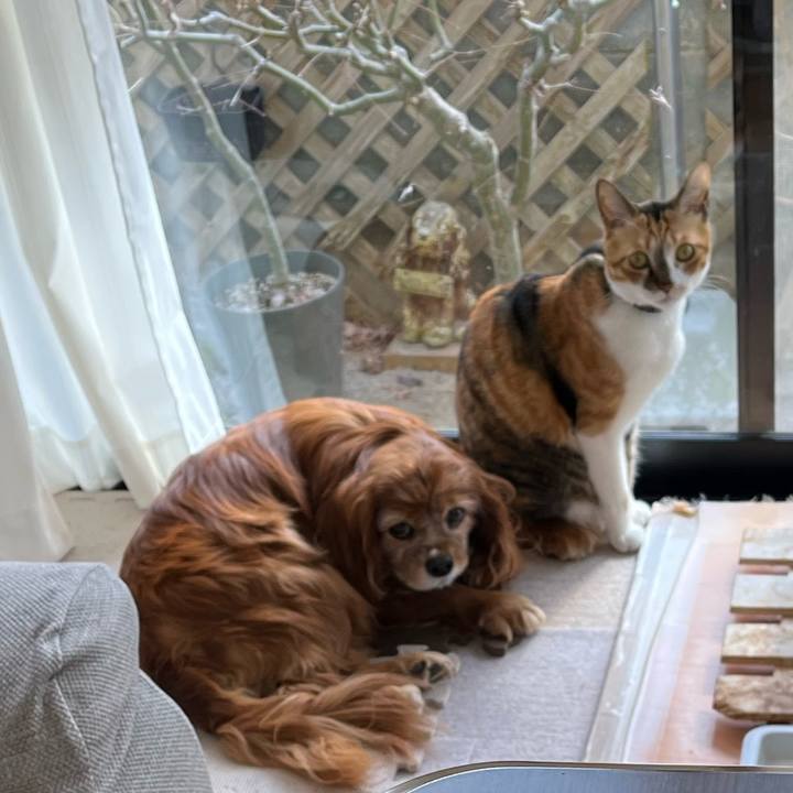 4bfc1eb7 98d5 4cc9 9f74 bd0497e33e93 1770028265801