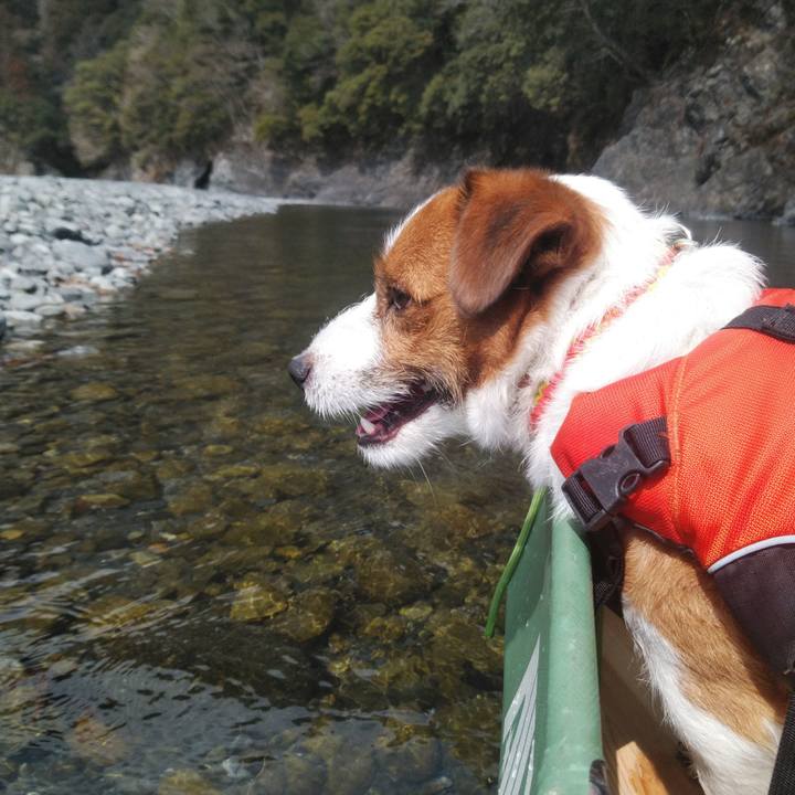 4bfc5058 ffe5 4461 a3f8 b0584995f0a6 1520201476493