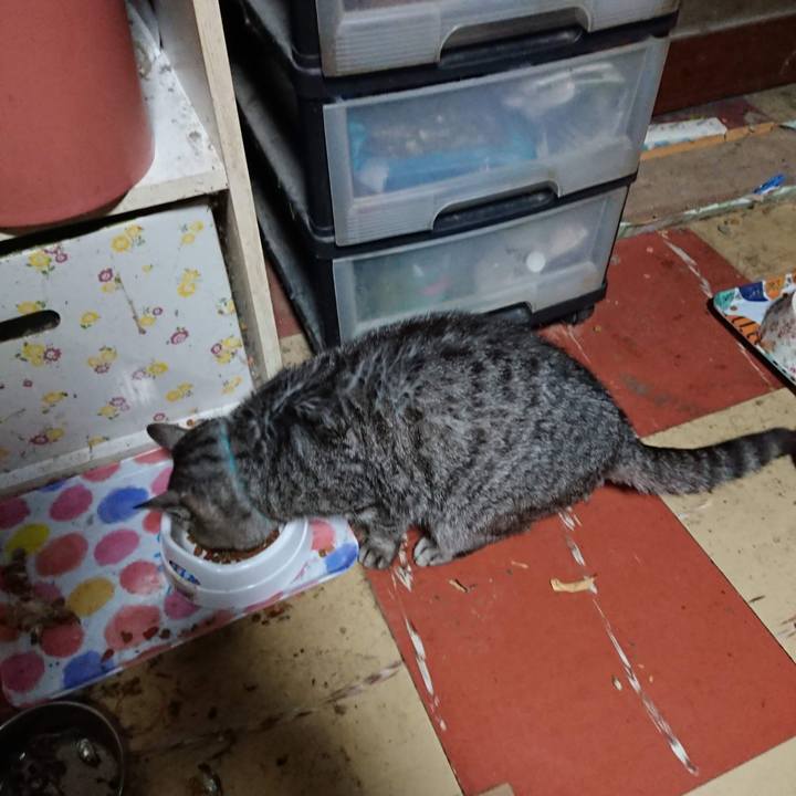 4bfc57ea 9865 4cd6 a521 c0030e9d2305 1574108874047