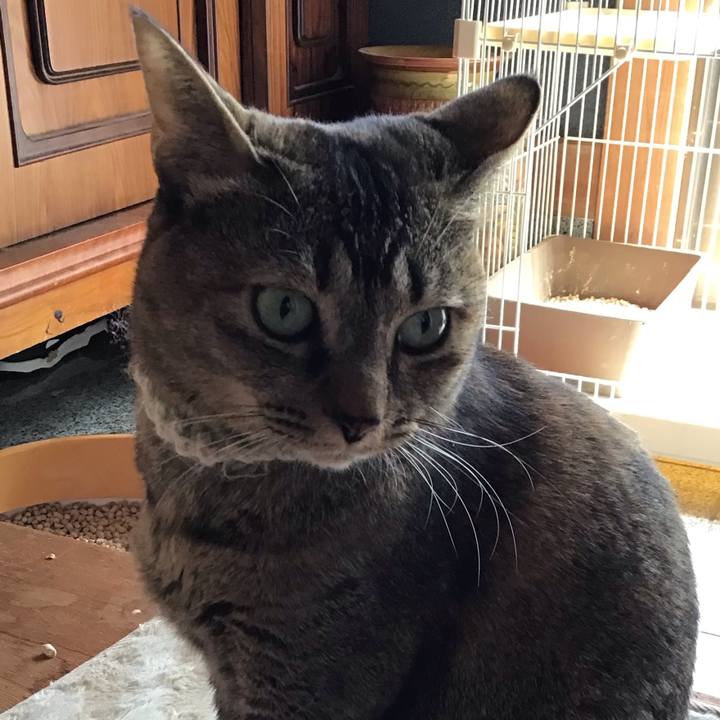 4bfc6c7f 4f1b 4666 9373 0ddd9b2f0376 1647769903688