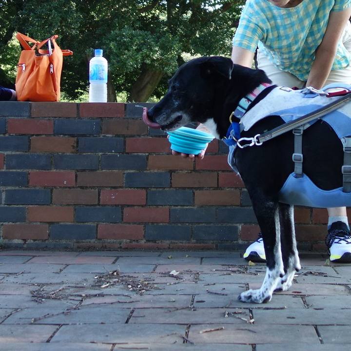 4bfc7e58 479b 46ea 835a 1c69ed9e8f03 1753318715392