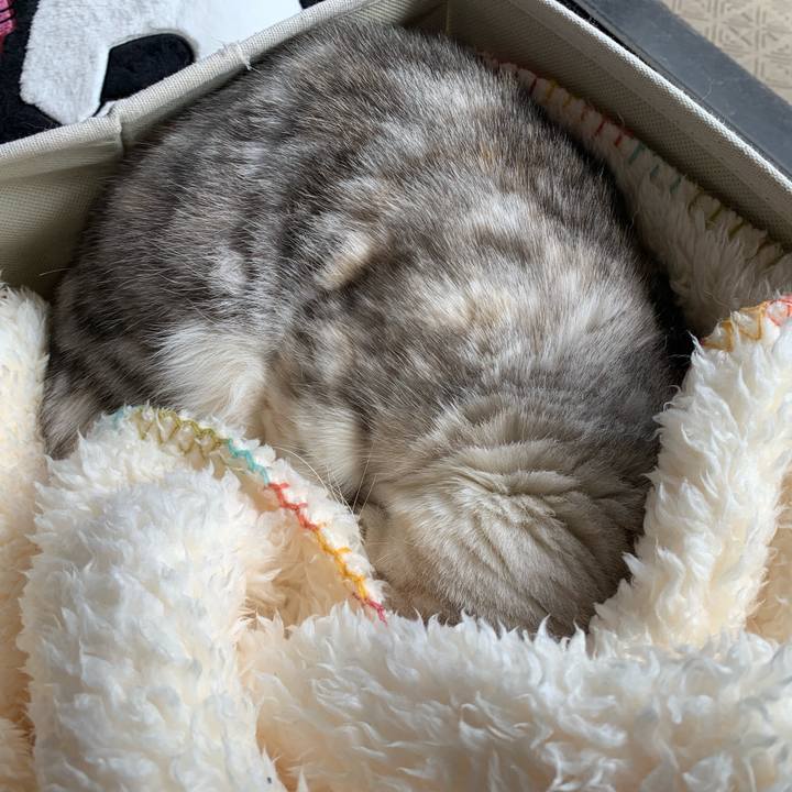 4bfca27a 0063 448b a54c 6316266db328 1709347930038