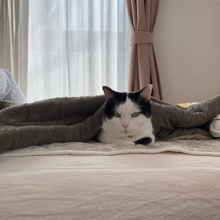 4bfca745 4e21 483b 9616 5c2ec0c7d1e1 1768432044799