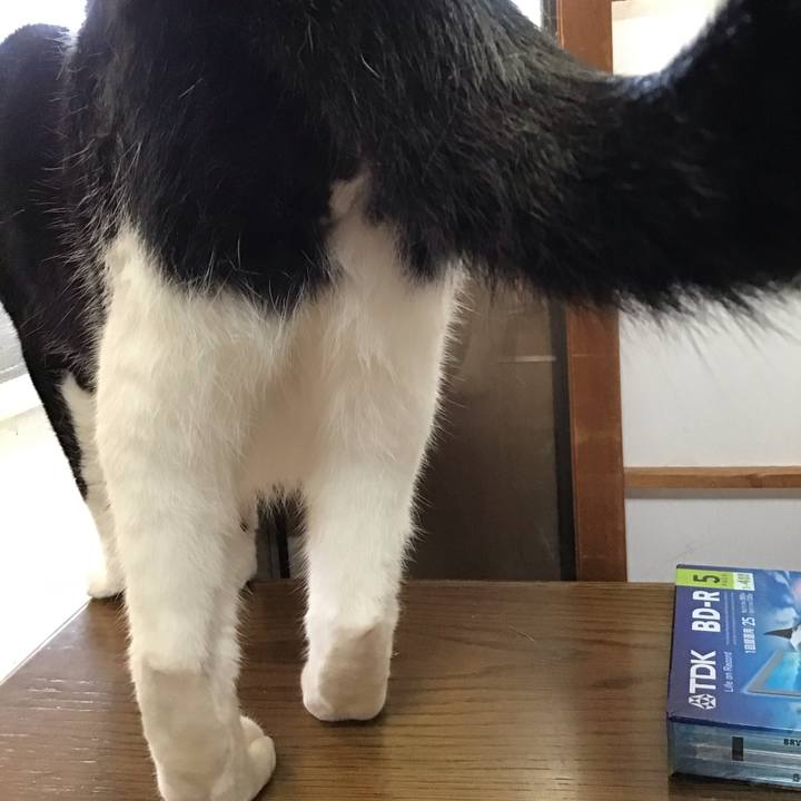 4bfcb08c 8214 442b 997b 617cc13a4f24 1725179763315