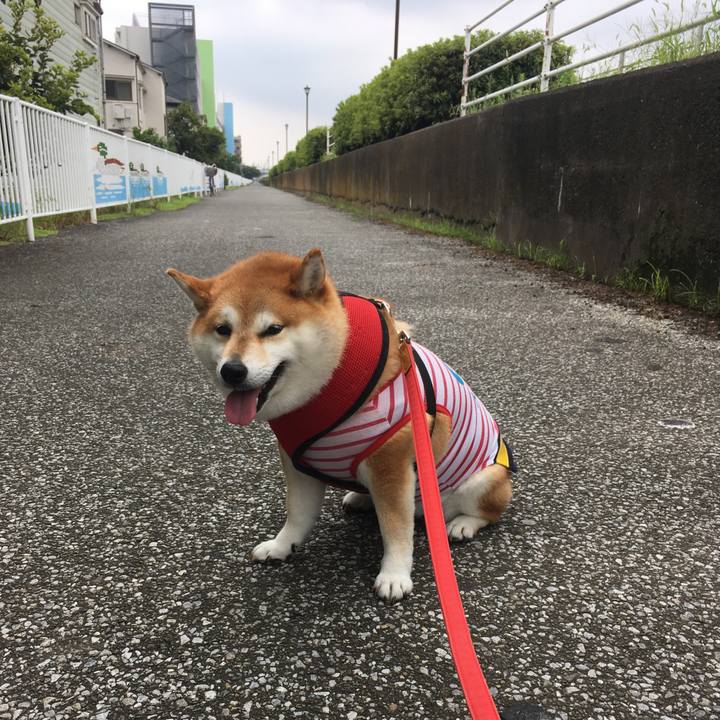 4bfcb923 b95d 4dc9 a3ac 178813adc8a1 1595560251596