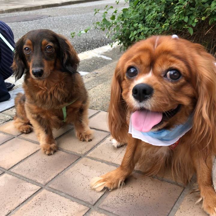 4bfcc6e9 71db 4382 852e d30e86bd5360 1596367871160