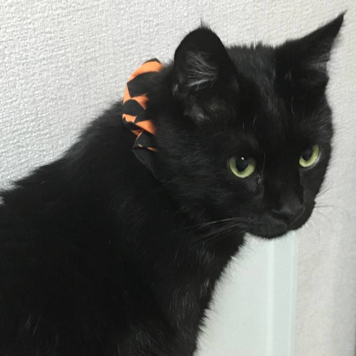 4bfcc762 ca6f 4b46 9dc6 e383c43fcd37 1539606146586