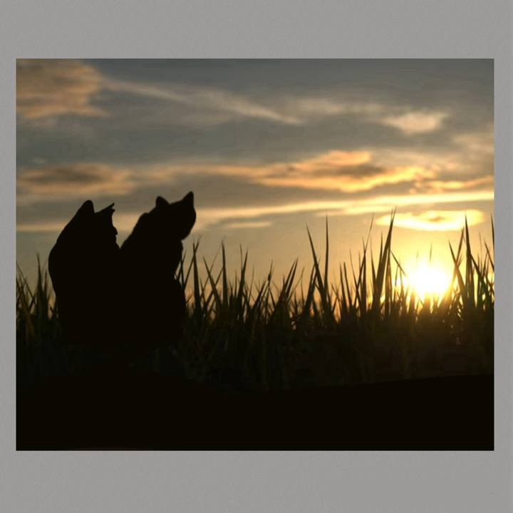 4bfcf7b8 6f12 40e8 a503 7fc519ff409f 1762568247562