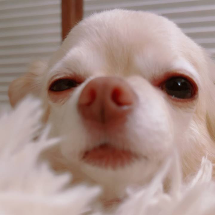 4bfd3d5a 2a65 4ca2 8e79 b2ea4f26f1e4 1751024952387