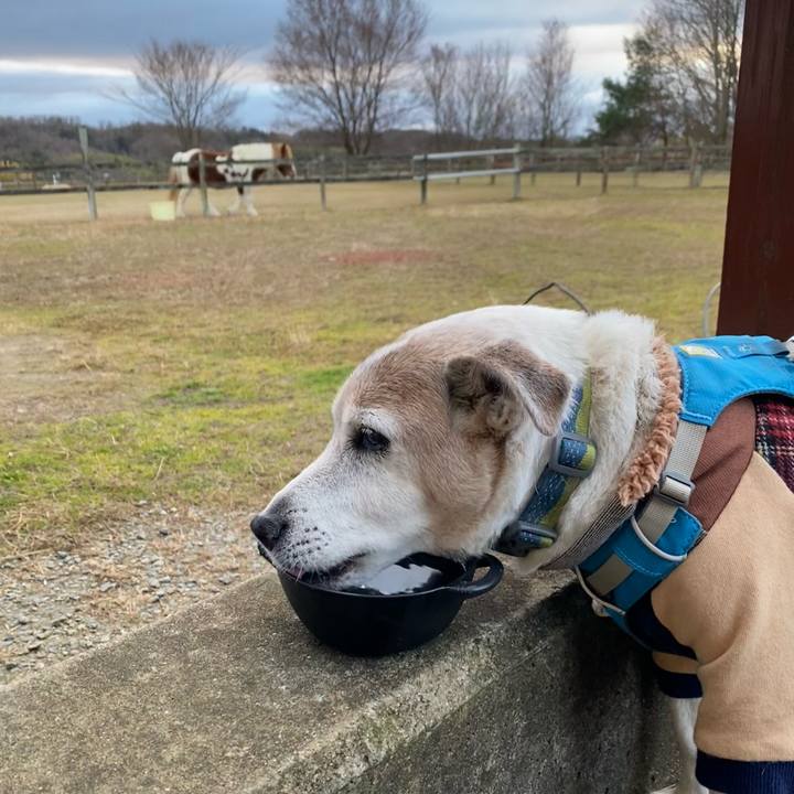 4bfd4a25 5367 44f1 a430 aaac35b48b44 1704109063012