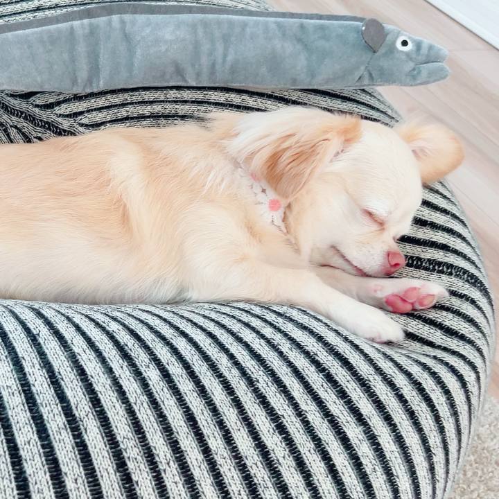 4bfd71f1 bba4 4960 b06c 4ee4ece955d6 1692875479720