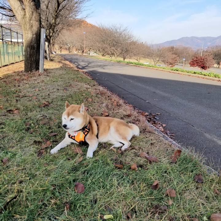 4bfd971b 33d9 4f89 ab5a 395f31a6b68c 1605762932973