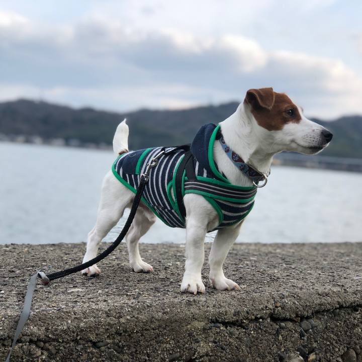 4bfd99d3 1b6f 4758 92ec 82679430411a 1549872535426