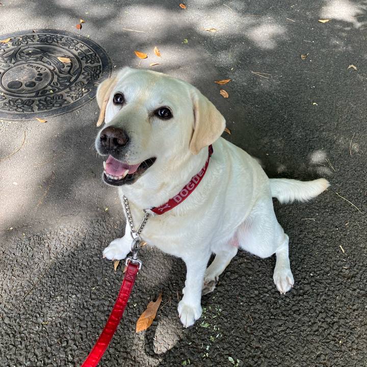 4bfdb551 0ed8 4511 9311 c3ebfb58a96d 1660903243258