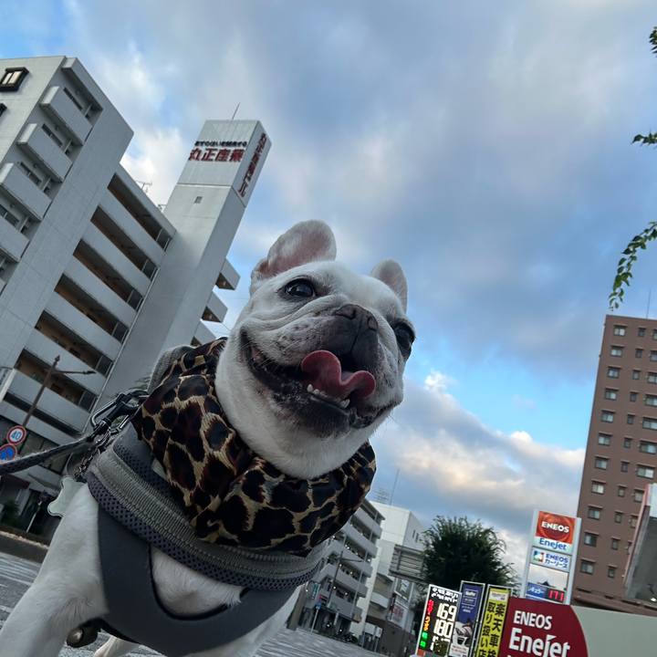 4bfdbfc0 08ed 496d 960c 034f6ddd4d9c 1689804030255