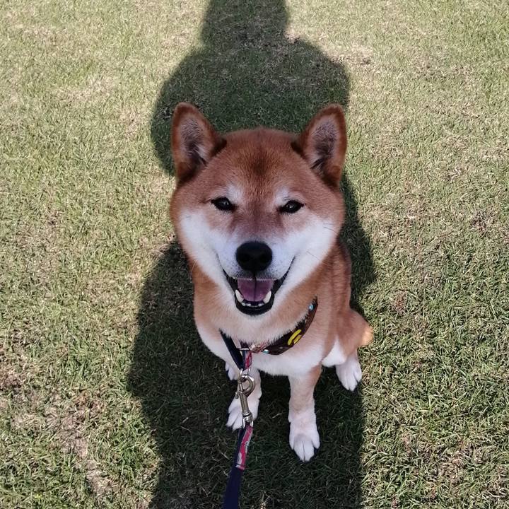 4bfdcb61 c986 4889 b650 0e13b22d3eb0 1620026378370