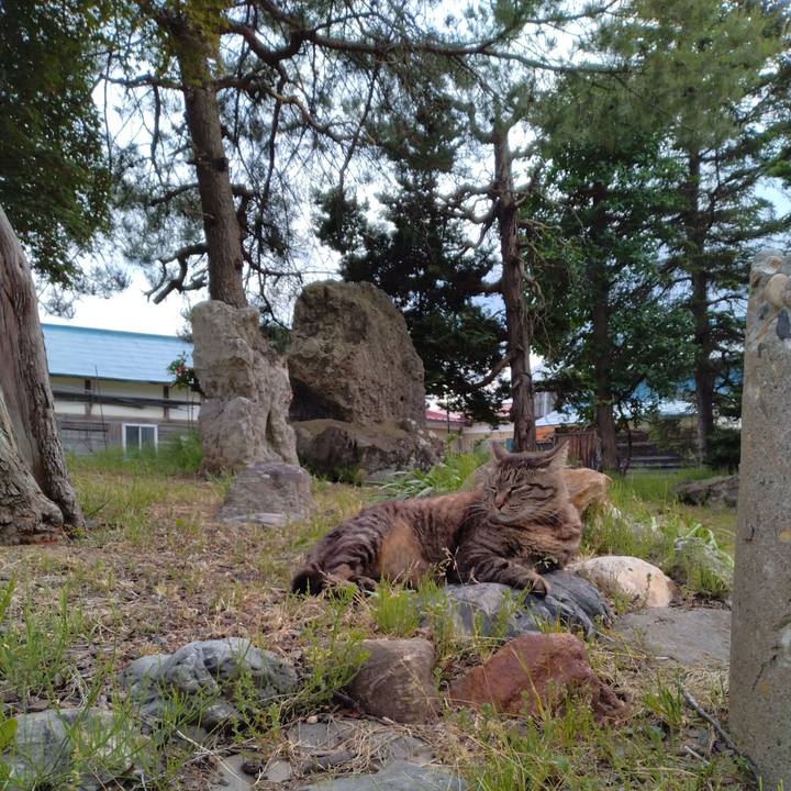 4bfe36f3 9a9c 49f6 b920 4d6e08ea21ee 1716800837225