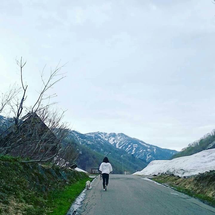 4bfe37ce 1b07 4016 a76f 7bf6354976cb 1525260296956