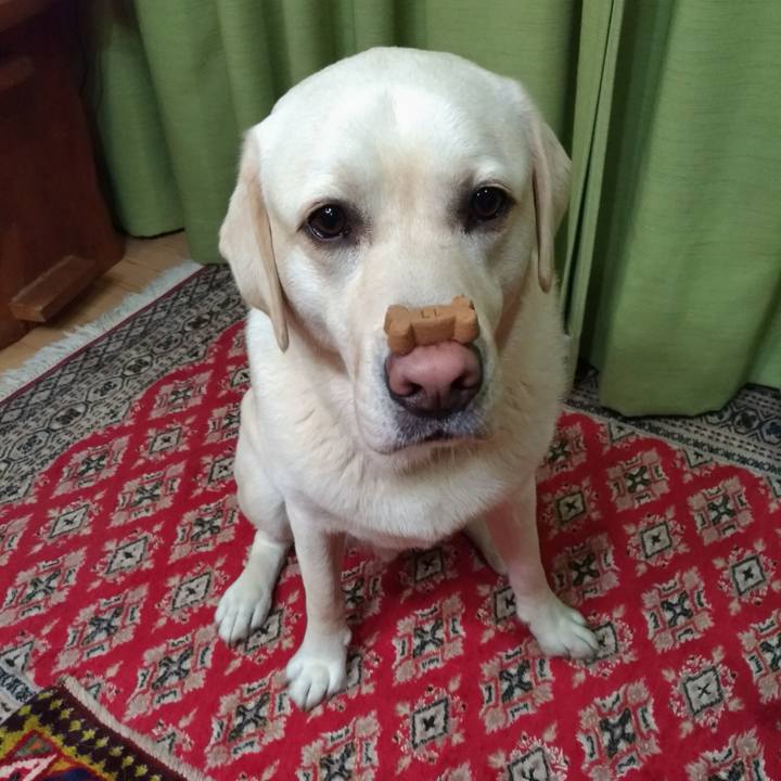 4bfe4aa0 1054 44d3 b1f0 106156081b0a 1560683219061