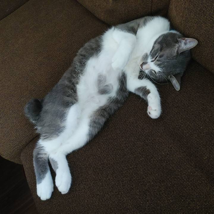 4bfe5877 d014 481f b50d 32abef993349 1593146987717