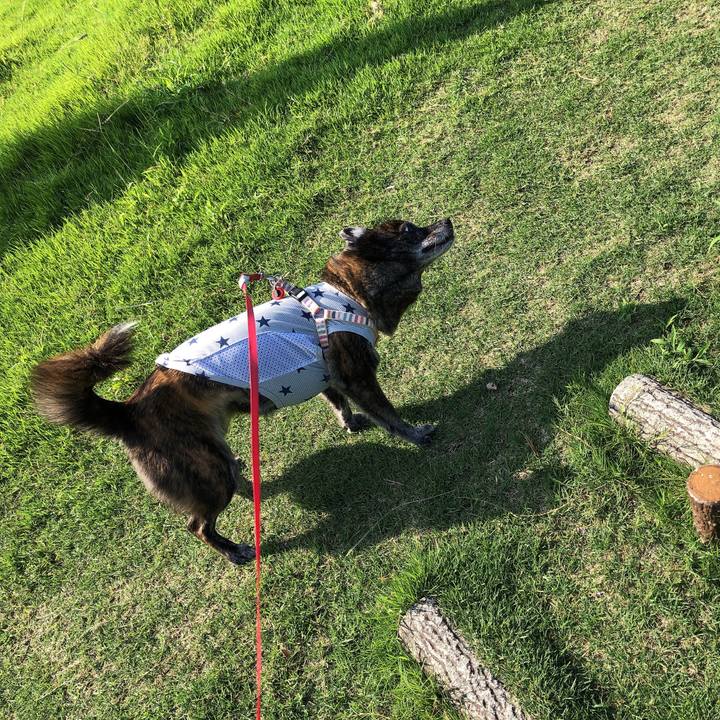 4bfe6245 3aaa 498c bbb2 1d614967b5ea 1597624990734