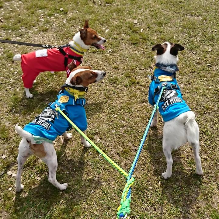 4bfea54d cf15 4e58 a5ae ca4fa789558f 1555841939791