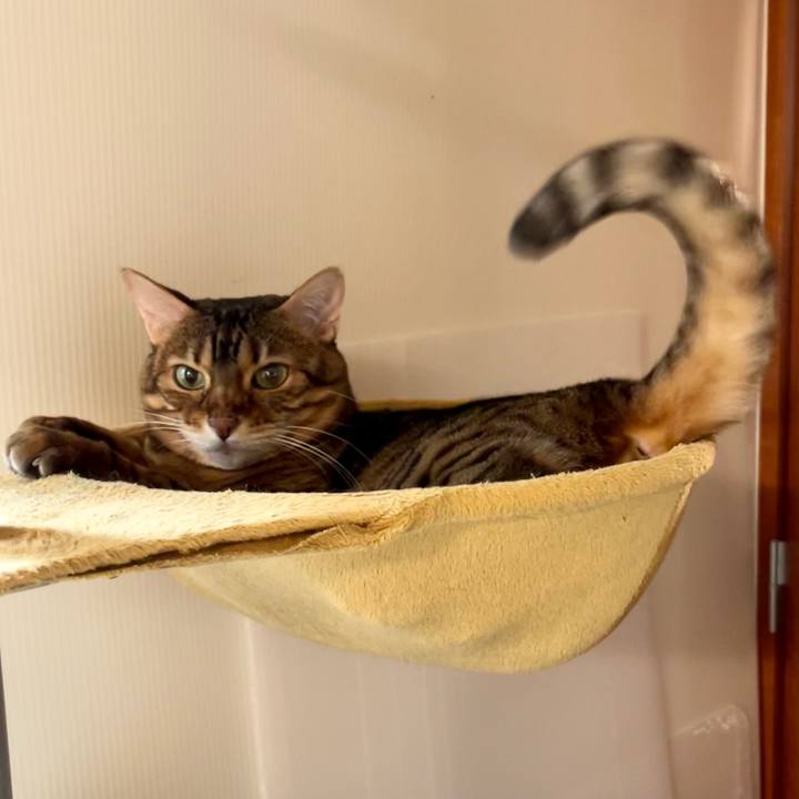 4bfeba72 f09d 4184 93c5 17e291790cb8 1674888087654