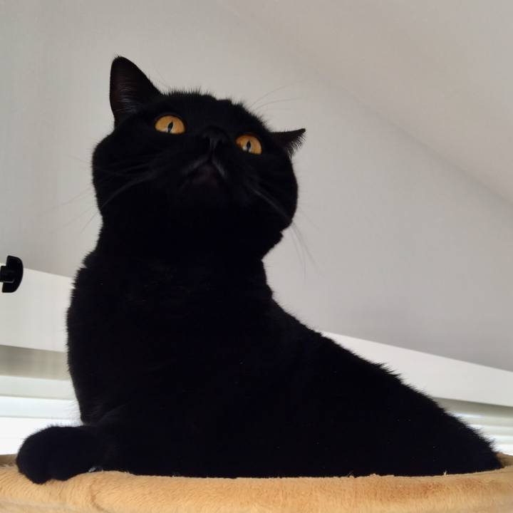 4bfec8bc 0735 48aa 9231 83d88482021b 1578266929889