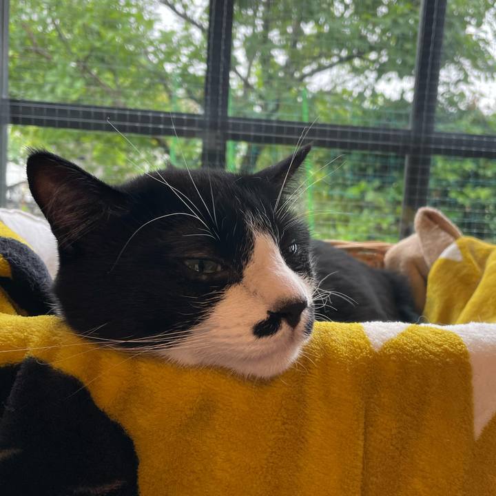 4bfedf3c 2dbd 4ea4 916a 096b2345cd81 1653954382363